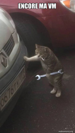 Mechanic Cat