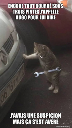 Mechanic Cat
