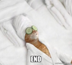 Pampered Cat Meme