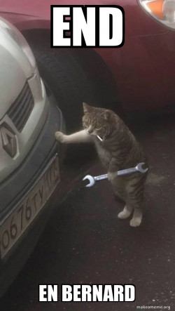 Mechanic Cat