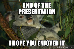 Laid Back Koala