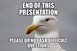 Stuff That Didn't Happen Seagull