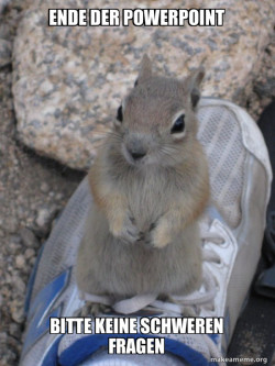 Standover Squirrel