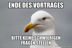 Stuff That Didn't Happen Seagull
