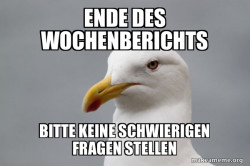 MÃ¶we cool
