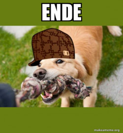 Scumbag dog