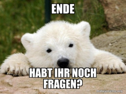 Popular Opinion Bear