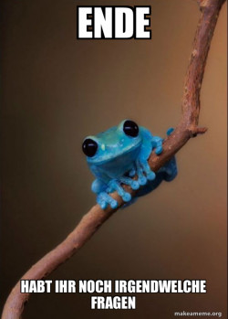 Small Fact Frog