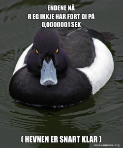 Revenge Duck ( Angry Advice Duck )