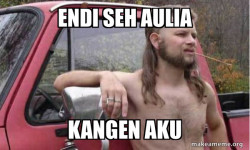 Almost Politically Correct Redneck