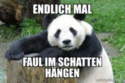 Confession Panda