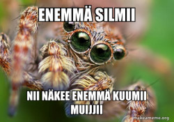 Hipster Spider