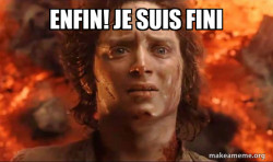 Frodo it's over it's done