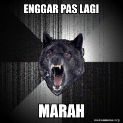 Insanity Wolf