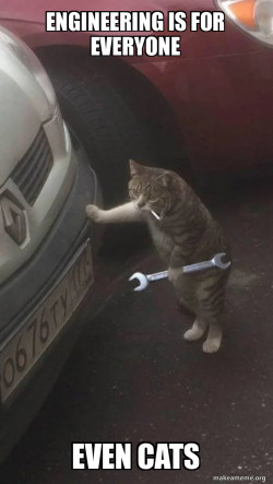Mechanic Cat