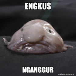 Blobfish