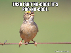 Common Opinion Sparrow