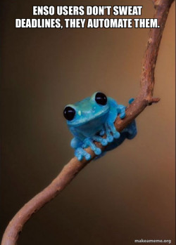 Small Fact Frog