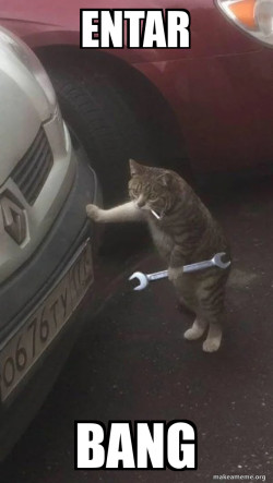 Mechanic Cat