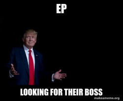 Trump Everything is FIne