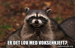 Evil Plotting Raccoon