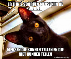 Overly Attached Cat