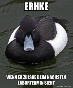 Revenge Duck ( Angry Advice Duck )