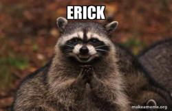 Evil Plotting Raccoon