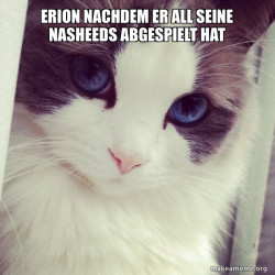 Ridiculously Photogenic Cat