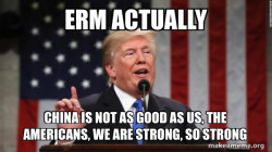 Donald Trump declares America is great again
