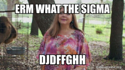 what the sigma