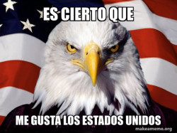 American Pride Eagle