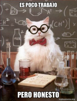 Chemistry Cat