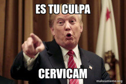 Donald Trump Says