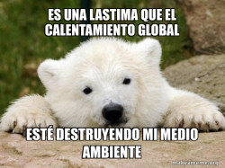 Popular Opinion Bear