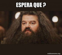 Hagrid - I should not have said that