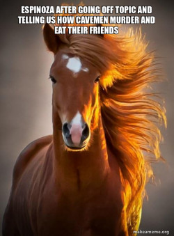 Ridiculously photogenic horse