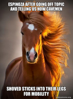 Ridiculously photogenic horse