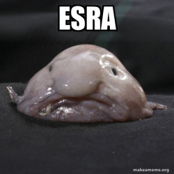 Blobfish