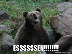 Sarcastic Bear