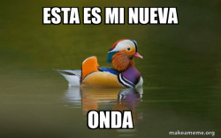 Fashionable Advice Mallard