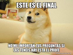 Doge