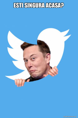 Elon Musk Twitter