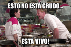 Gordon Ramsay