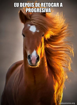 Ridiculously photogenic horse