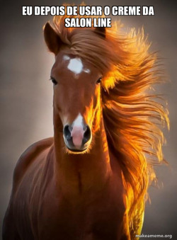 Ridiculously photogenic horse