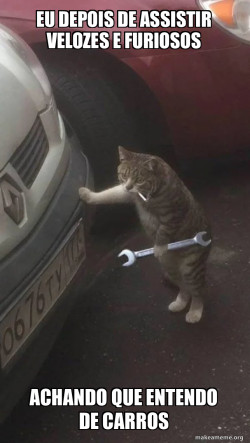 Mechanic Cat