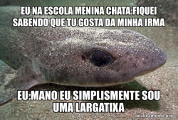 Dirty Joke Dogfish