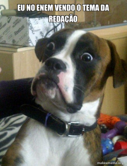 Skeptical Dog