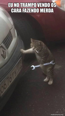 Mechanic Cat